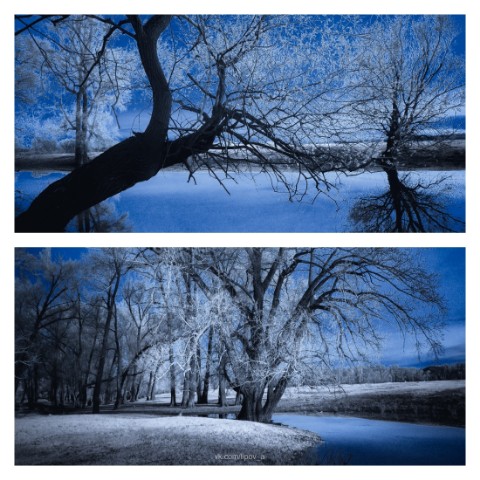 Фотограф Андрей Липов в LOOKY. #инфракраснаяфотография,#Оренбург,#ir. #инфракраснаяфотогра...
