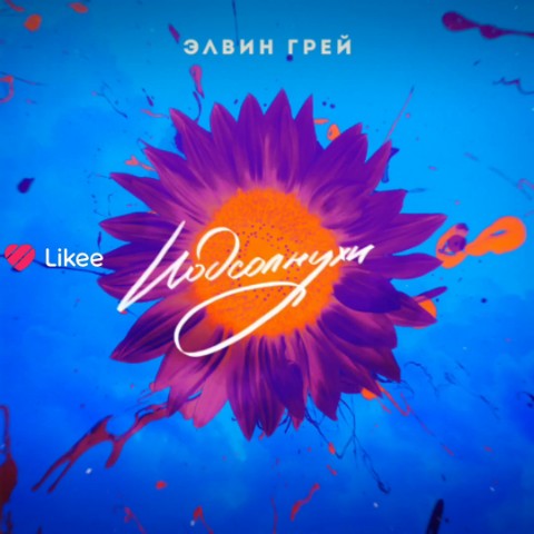 Looky_177313385709389 в LOOKY. . Элвин грей подсолнух...