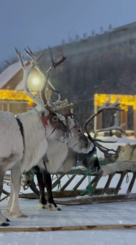 Sergey in LOOKY. . Всем привет, Друзья!...