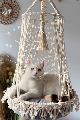 Looky_174171330769983 в LOOKY. . 