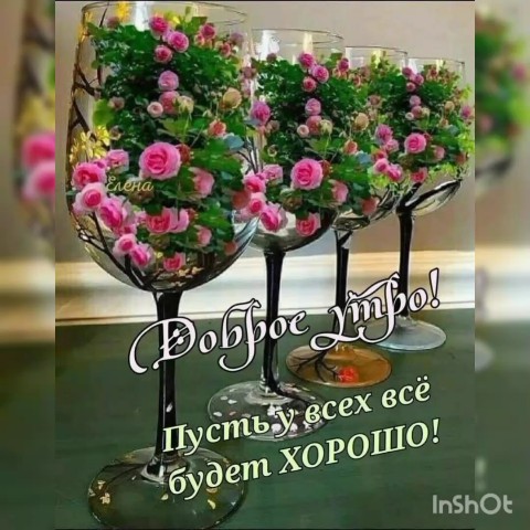 taneckagaidukowa в LOOKY. . 
