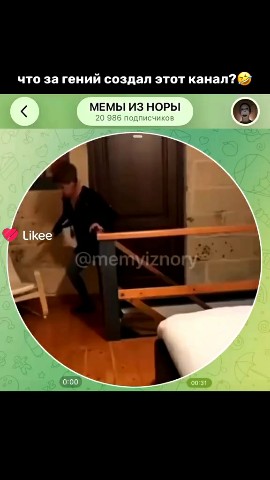 Мягкий Пушистик в LOOKY — публикация