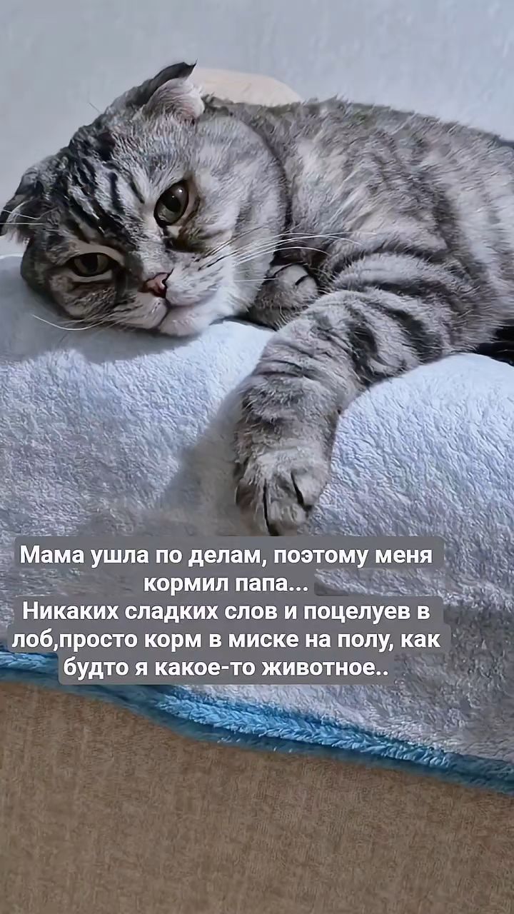 Мышка Муся и Маруся в LOOKY. . 
