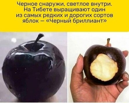 Looky_1708271135985 в LOOKY. . 