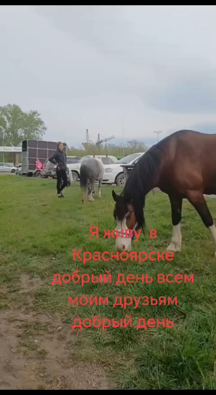 Лика в LOOKY. . Добрый день🤗🤗🤗🤗�...