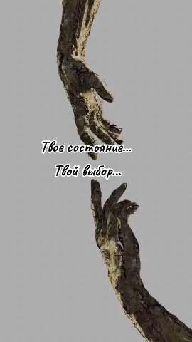 Inna_bres_ в LOOKY. . [#твойвыбор](твойвыб...