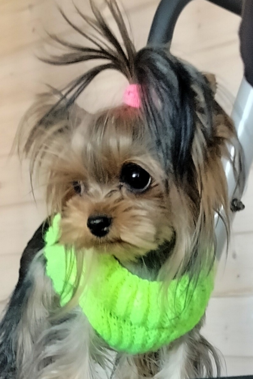 Vladova Tatiana в LOOKY. . 