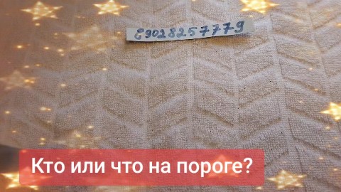 svetlanazaryanova1