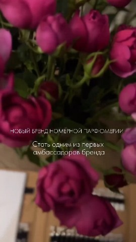 Галина в LOOKY. . НОВЫЙ БРЕНД НОМЕРНОЙ...