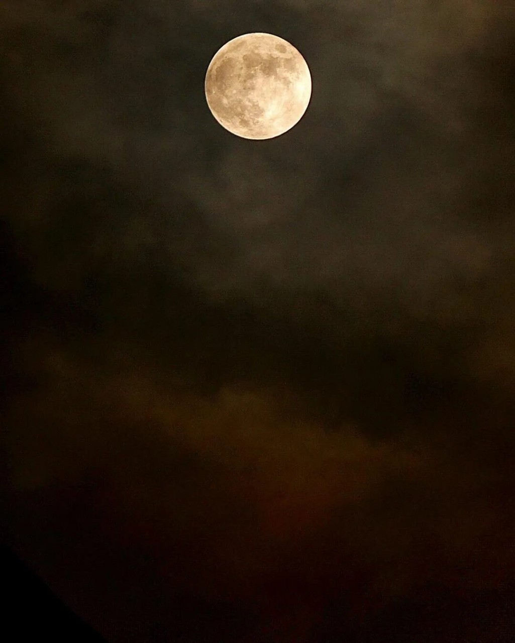 ekaterinadneprovskea в LOOKY — Луна сегодня красивая, Да?

🌑🌌