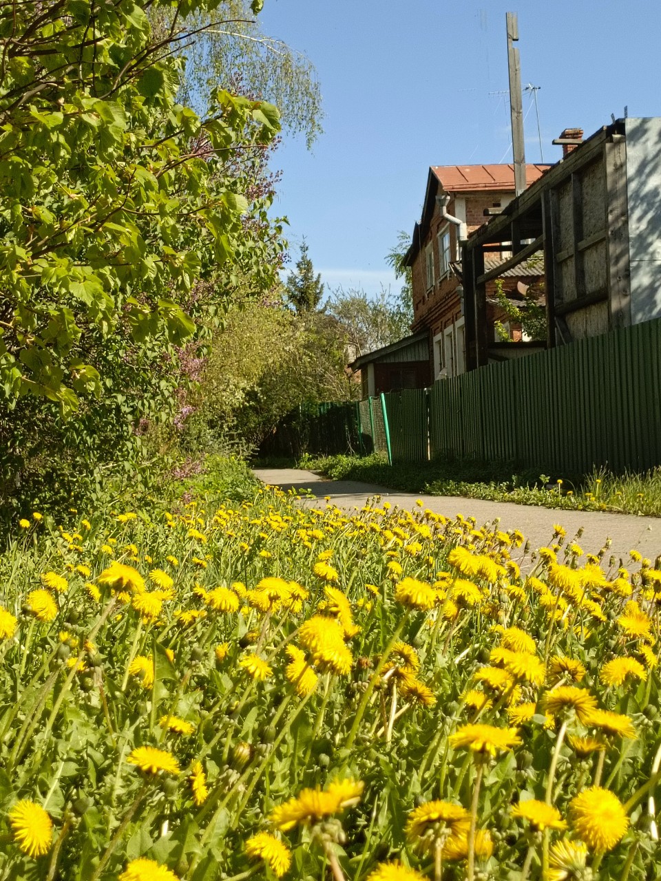 juvel1988 в LOOKY — фото 5