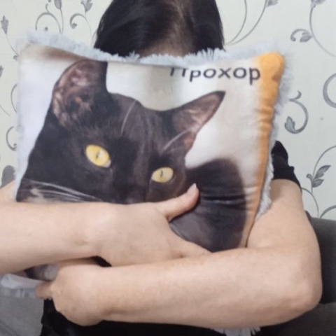 Пушистый сон в LOOKY. . Татьяна, спасибо за ...