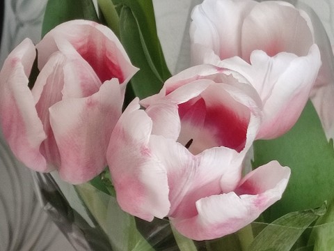 Looky_1670333759851 в LOOKY. . 🌷🌷🌷🌷🌷🌷🌷Цветы ...