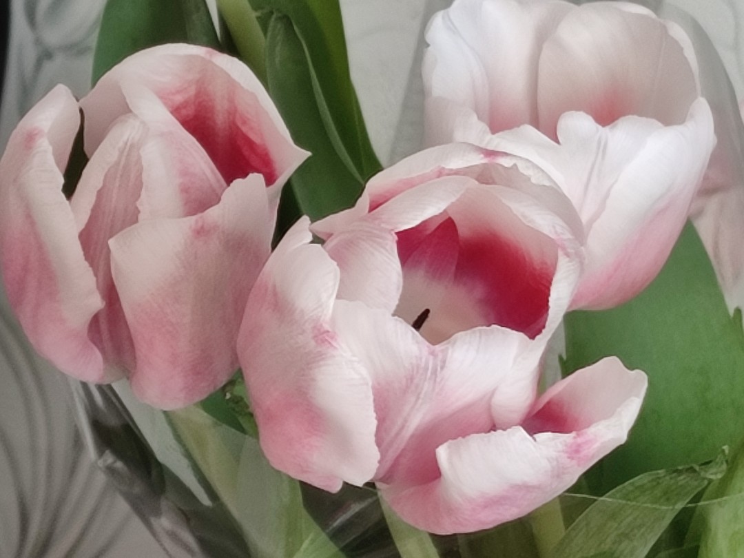 🌷🌷🌷🌷🌷🌷🌷Цветы весны🌷🌷🌷🌷🌷🌷🌷