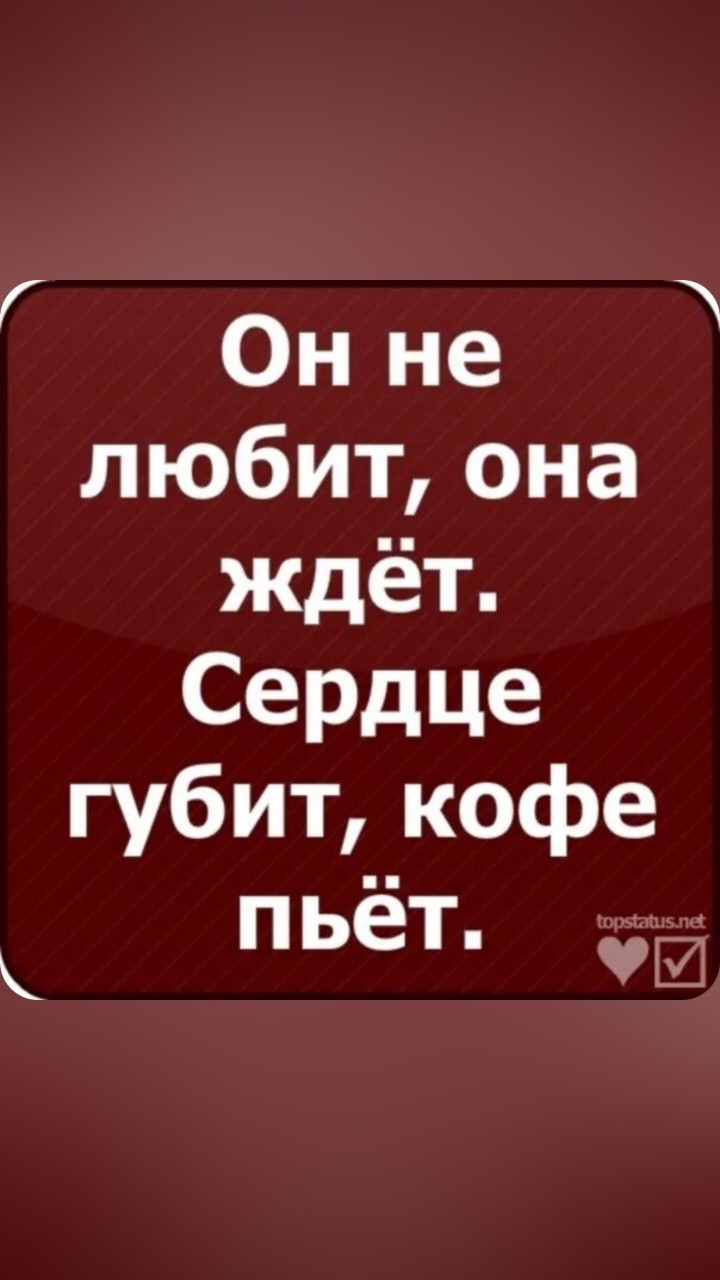 Полярная звезда в LOOKY — публикация