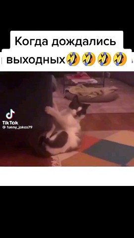Юрий Иванов in LOOKY. . 