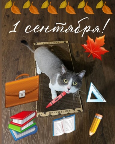 kogtedralka в LOOKY. #1_сентября,#день_знаний,#школа,#учитель,#осень,#знания,#книги. С Днём Знаний!📚
1 с...