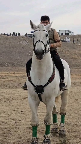 oxun_7 в LOOKY — 🐴