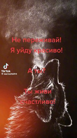 Владимир in LOOKY. . 