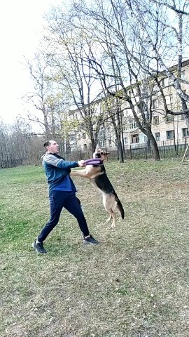 Алёнка in LOOKY. . 