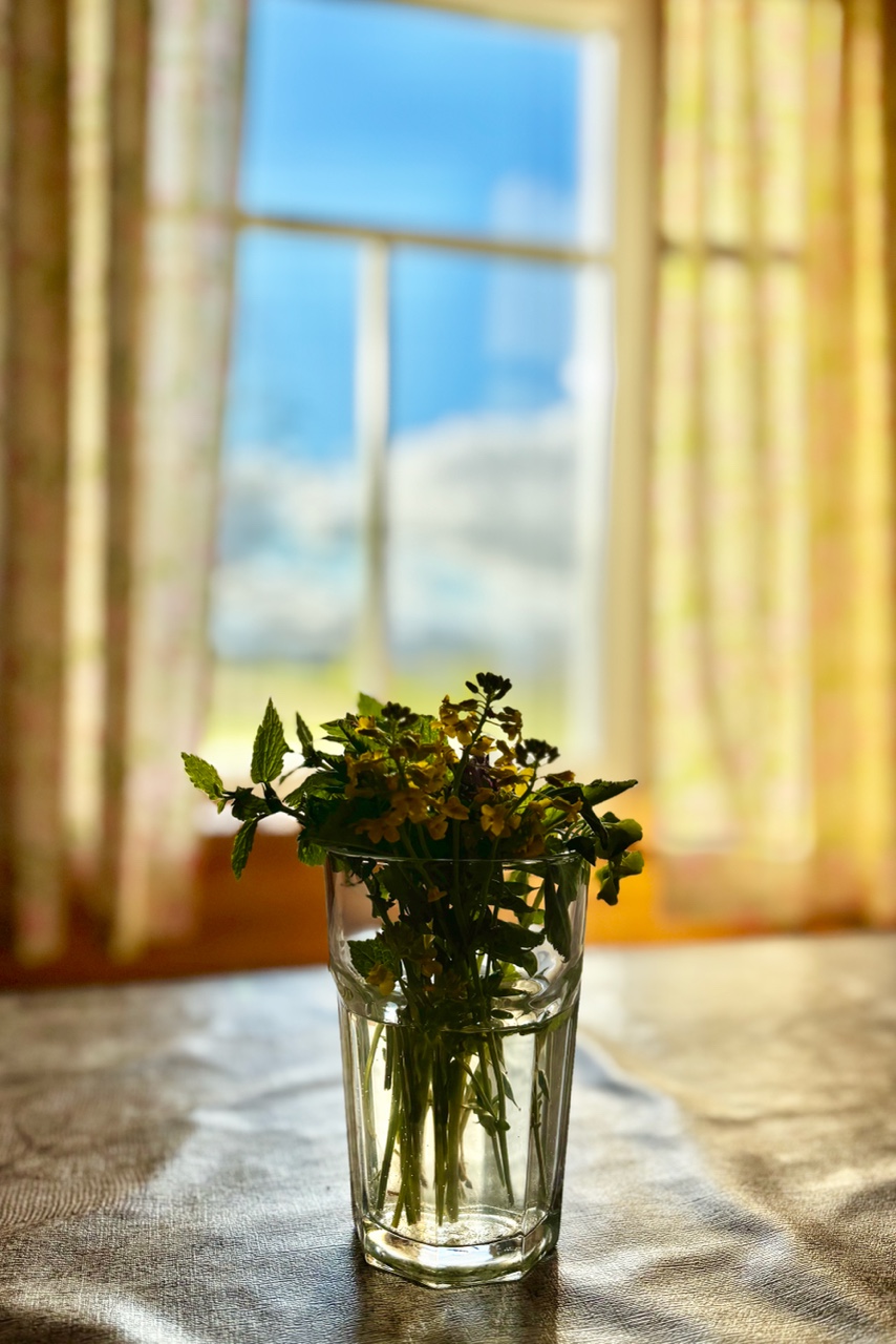 archizelig в LOOKY — Деревенский вайб +10 к релаксу #весна #деревня