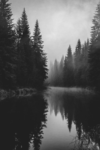 nata_sha 1909 в LOOKY. . Природа, туман🤍🤍сд...