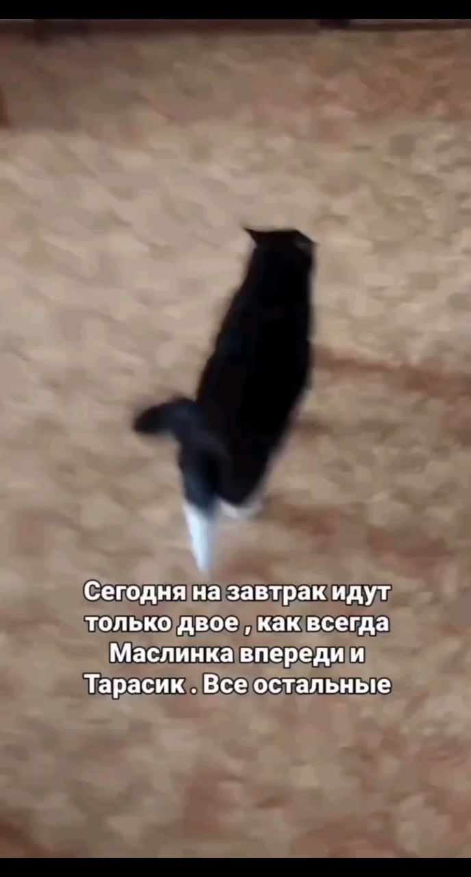 Алла Краснова в LOOKY. . Доброе утро всем! Же...