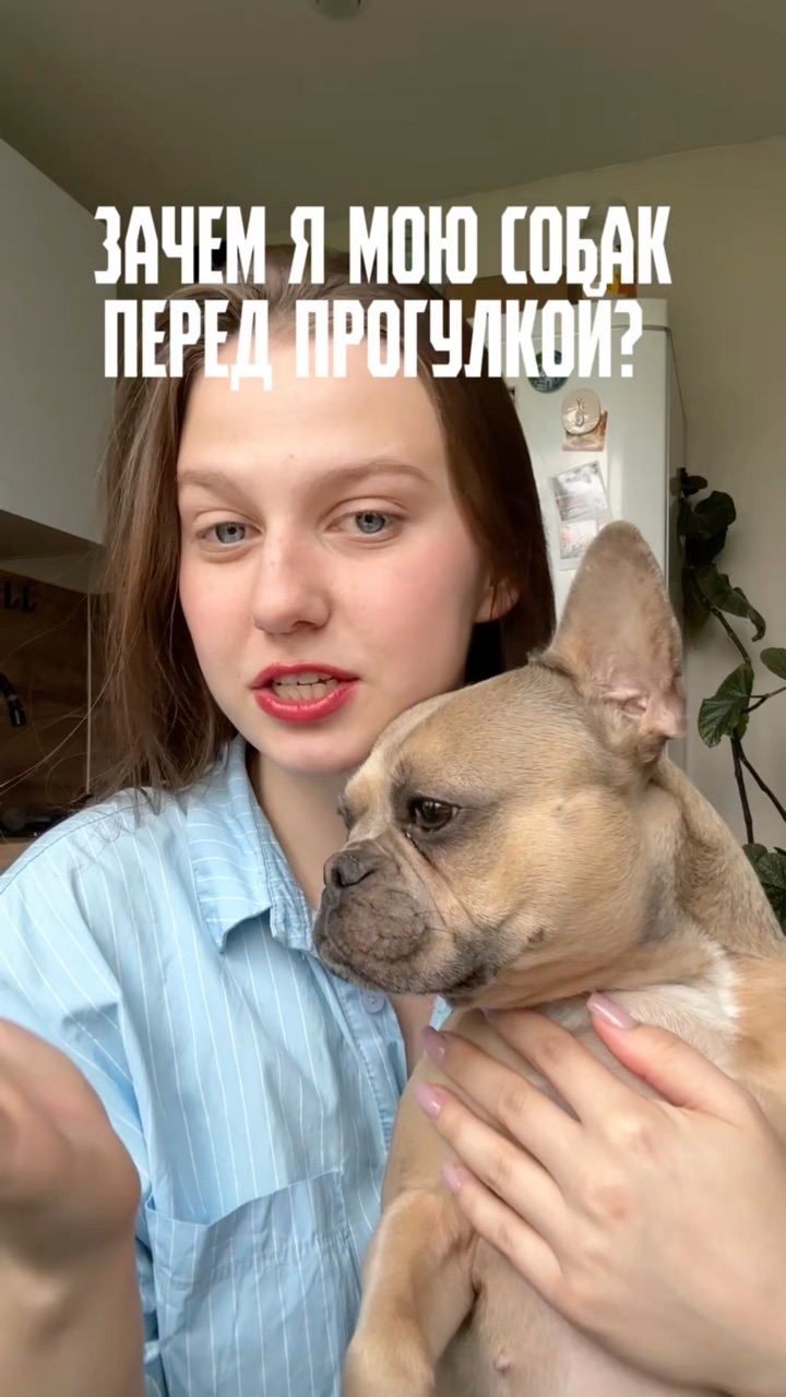 Зина и Майки in LOOKY. #255212157. Еще раз расписала пр...