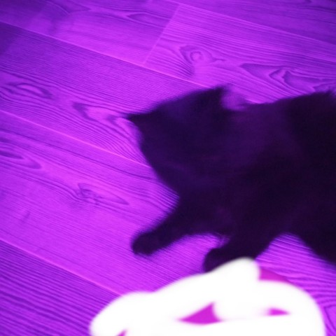 Looky_1702228707546 в LOOKY. . 