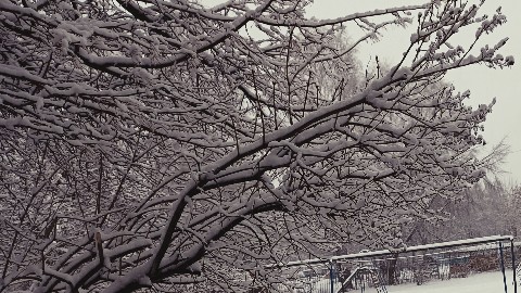 VixenF в LOOKY. . Середина весны, и вы...