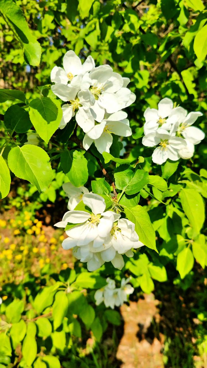 Виктор в LOOKY. #весна
#карелия,#karelia,#karjala,#живувкарелии,#природа,#природакарелии
#looky,#looky_official,#LOOKY_контент,#looky_you,#you,#looky_топ
#videolooky,#LOOKY_рилс. Карелия💮Karjala
💮�...
