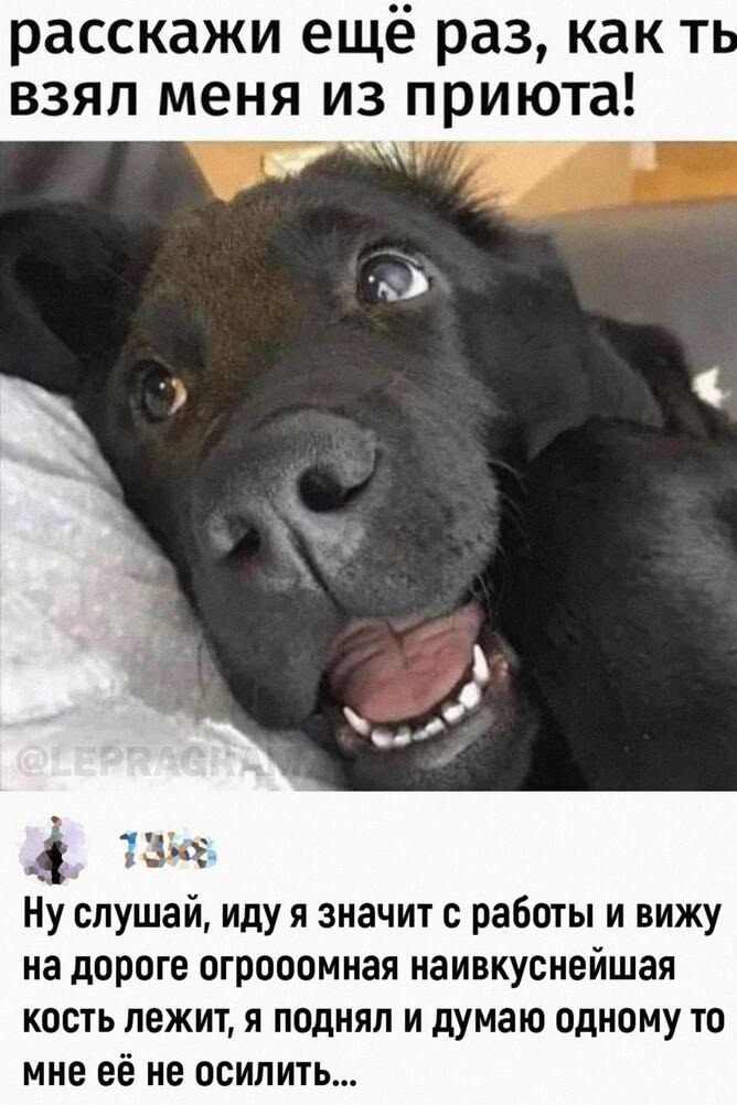 Сумеречный Сон в LOOKY — публикация