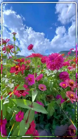 Looky_1700923523570 в LOOKY. . 