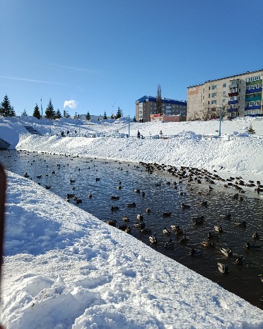 leninogorsk.life в LOOKY. . 