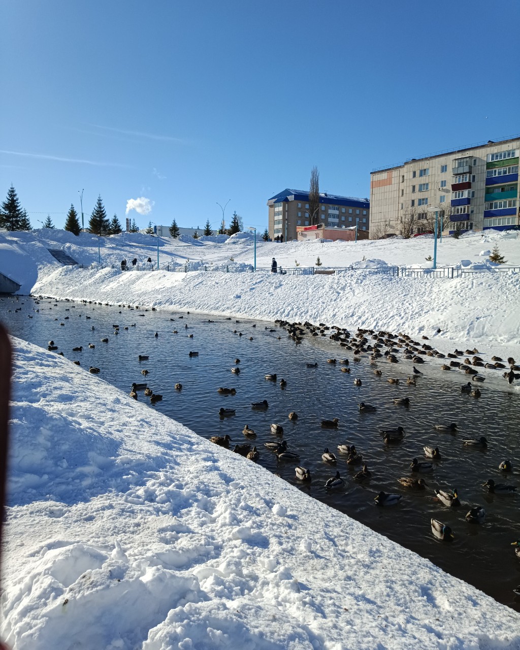 leninogorsk.life