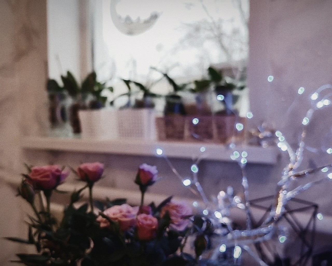 aliska.aesthetics в LOOKY — публикация