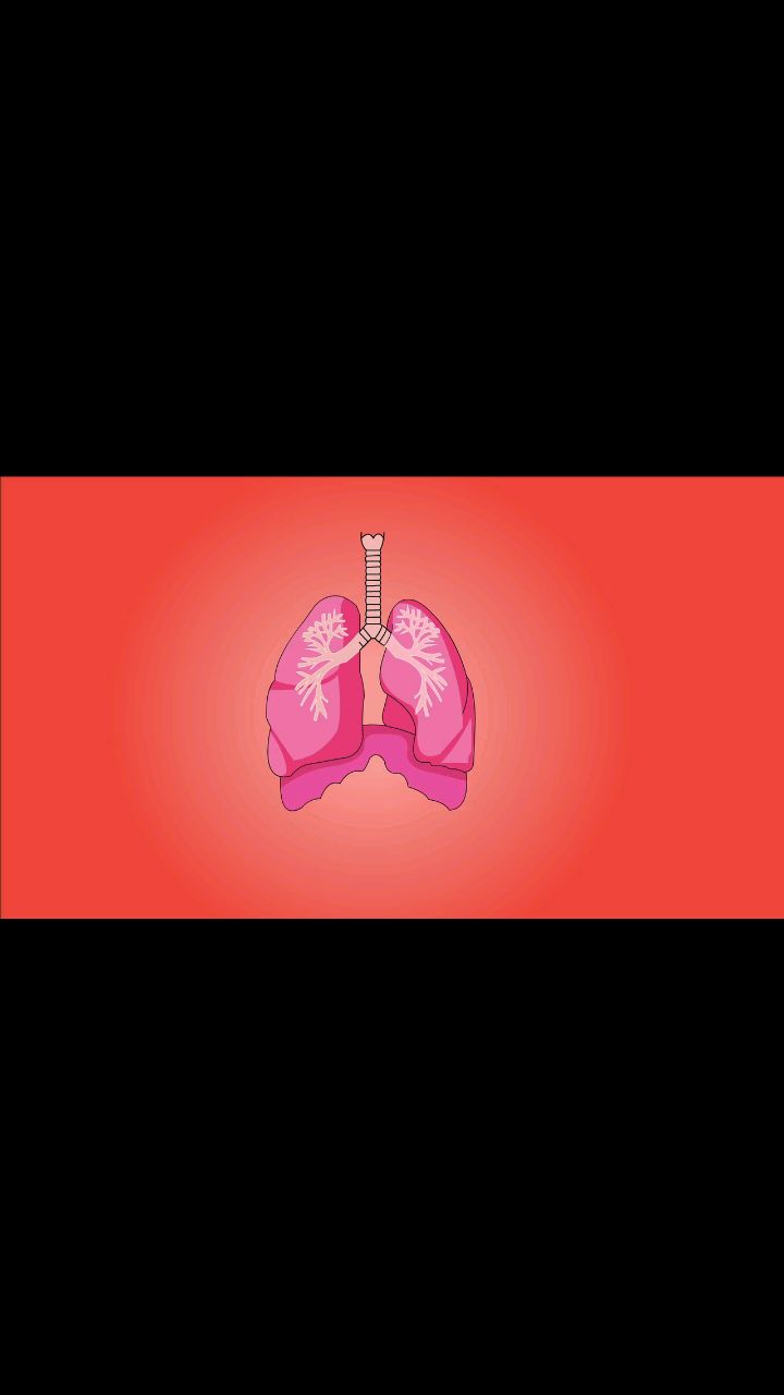 INSIDE-WILDLIFES в LOOKY. . Humans organs