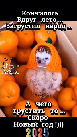 Юлия в LOOKY. #####₽. #####₽