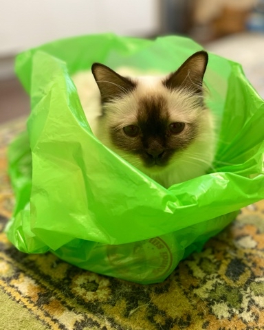 svetlana14064 в LOOKY. . После того как все п...