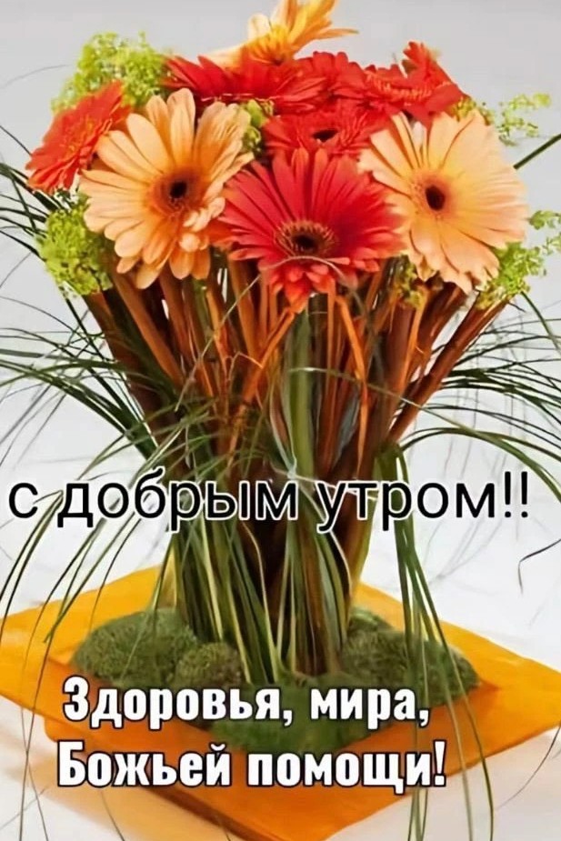 Сириус в LOOKY — публикация