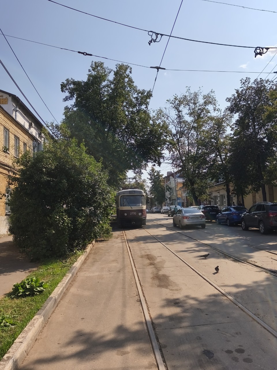  в LOOKY — публикация