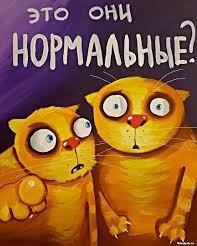 Looky_1693372314990 в LOOKY. . 