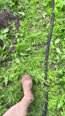 Looky_1670417778789 в LOOKY. . Дачный привет!!!