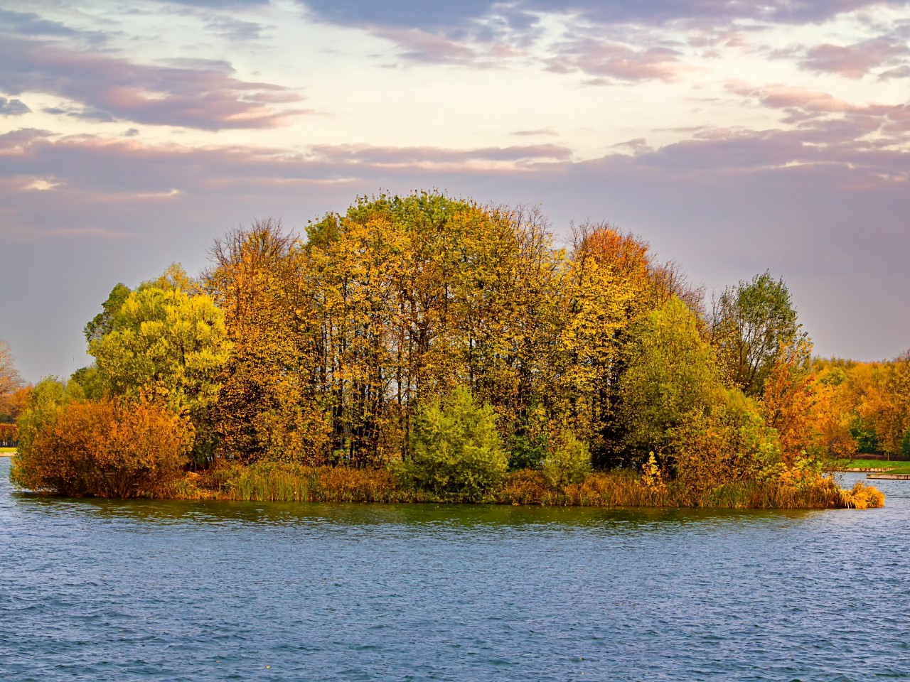 poboruev_landscape в LOOKY. #природа,#осень,#золотаяосень,#небо,#облака,#вода,#остров,#Кусково,#Москва,#Россия,#пруд. Остров Кусковский на...