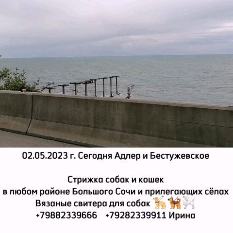 Looky_1676317000260 в LOOKY. #стрижкасобак,#одеждадлясобак,#ШИВ,#Сочи,#фотография,#стрижкасобакСочи,#стрижкакошекСочи,#ялюблюсвоюработу,#Чёрноеморе,#работакакэкскурсия. 02.05.2023 г. 
На ра...
