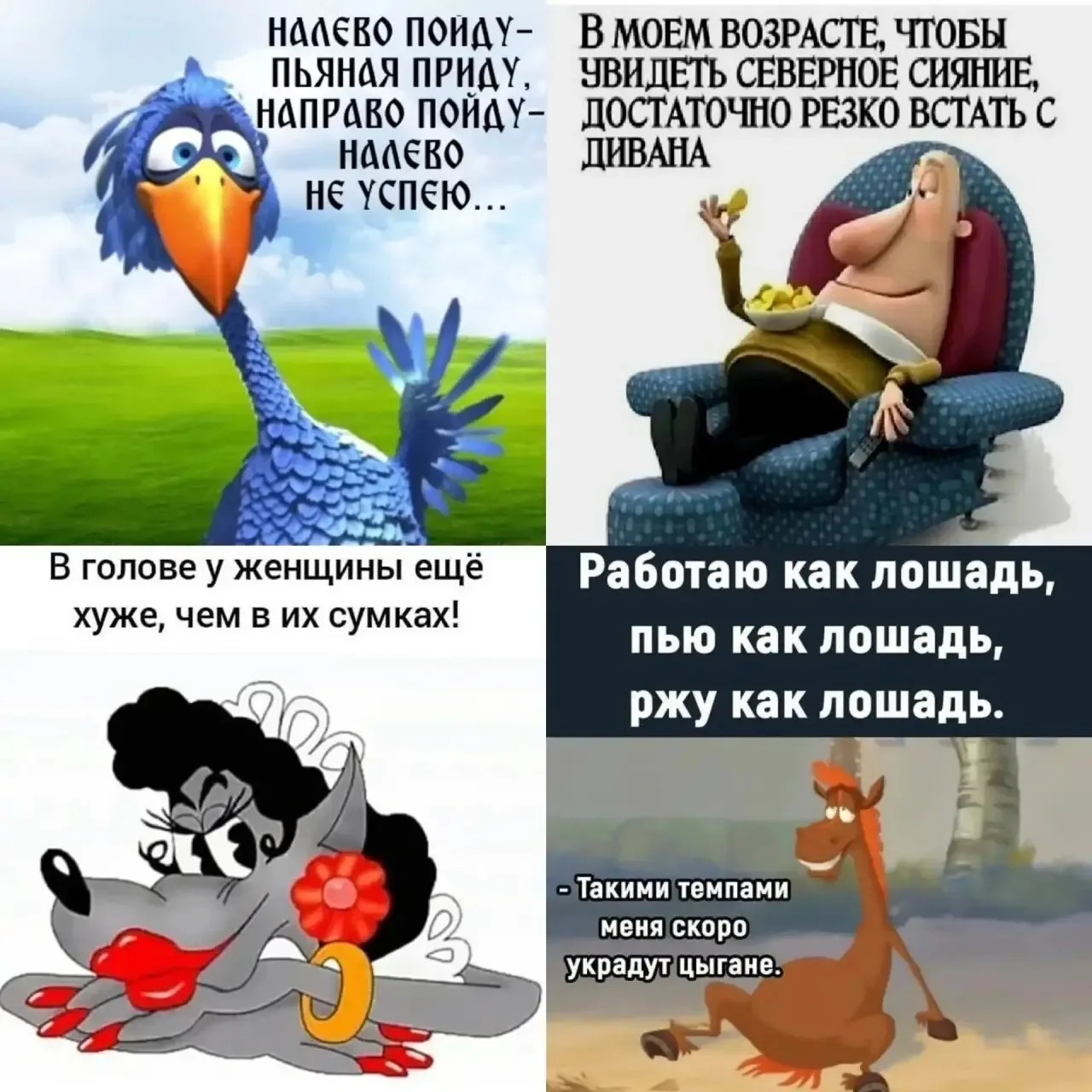 Looky_177435473367901 в LOOKY — публикация