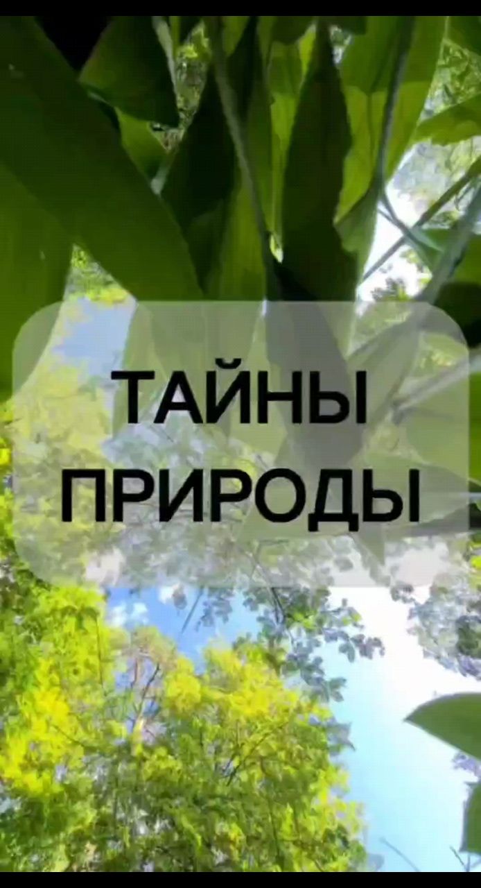 Ксения в LOOKY. . Этому не учат в школ...