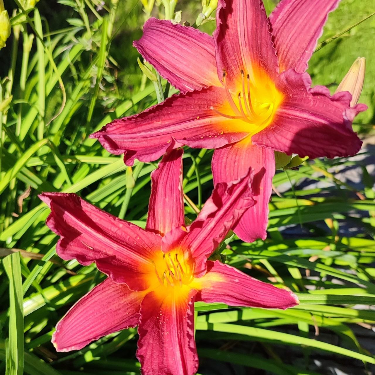 gostinnaknitting в LOOKY — фото 2