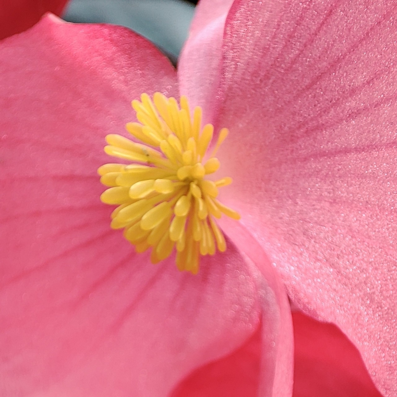 gostinnaknitting в LOOKY — фото 8