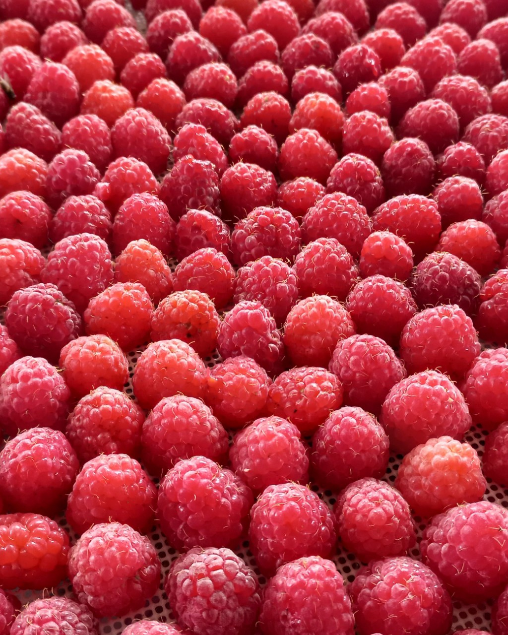 Lia Fleur в LOOKY — фото 2